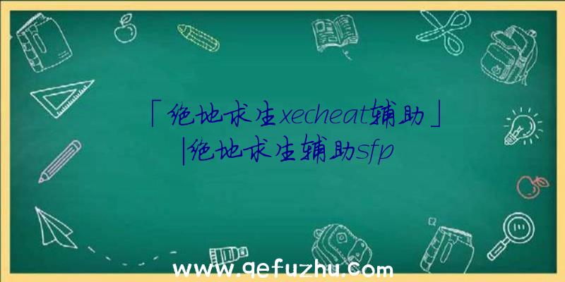 「绝地求生xecheat辅助」|绝地求生辅助sfp